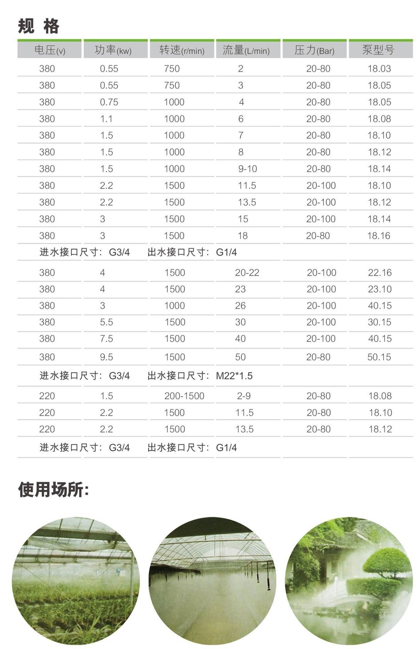 澳门今晚开特马结果