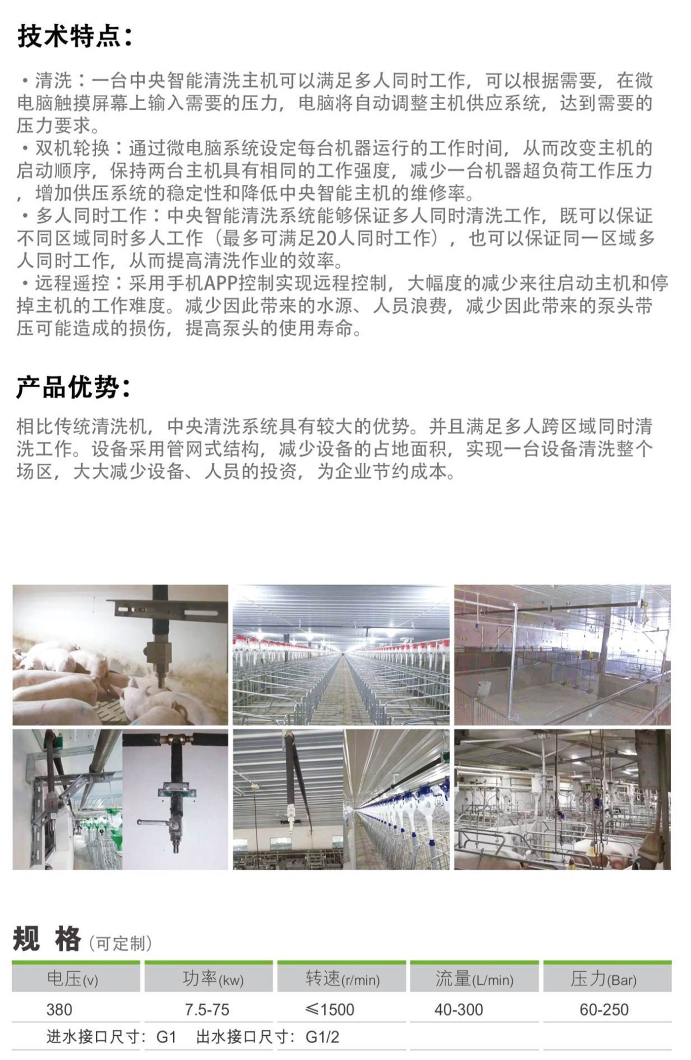 澳门今晚开特马结果